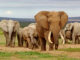 Comprehensive Guide to Wait Events and Performance Troubleshooting in PostgreSQL
