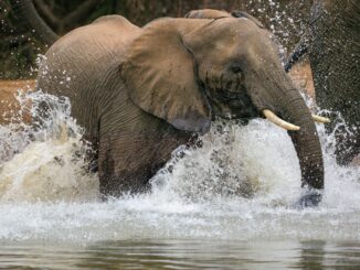 Troubleshooting PostgreSQL JOIN Performance