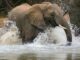Troubleshooting PostgreSQL JOIN Performance