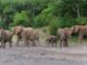 LWLockTranche/buffer_mapping wait event in PostgreSQL