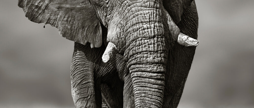 Understanding Locks in PostgreSQL