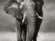 Understanding Locks in PostgreSQL