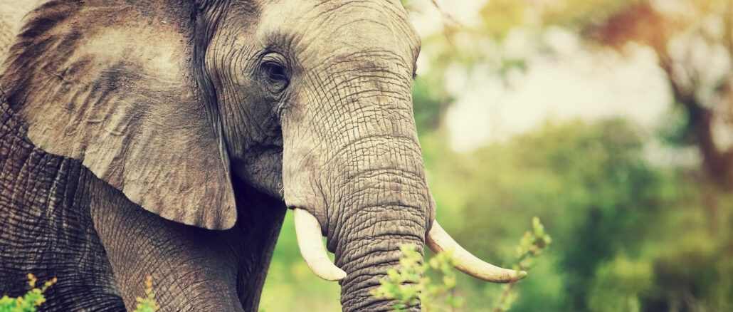 Row Locks in PostgreSQL: