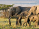 Speed Up Your PostgreSQL 16 Backups with Improved pg_dump