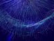 PostgreSQL Performance: Strategic Use of SKIP_DATABASE_STATS and ONLY_DATABASE_STATS