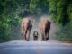 PostgreSQL 11 to 15 Using pg_upgrade