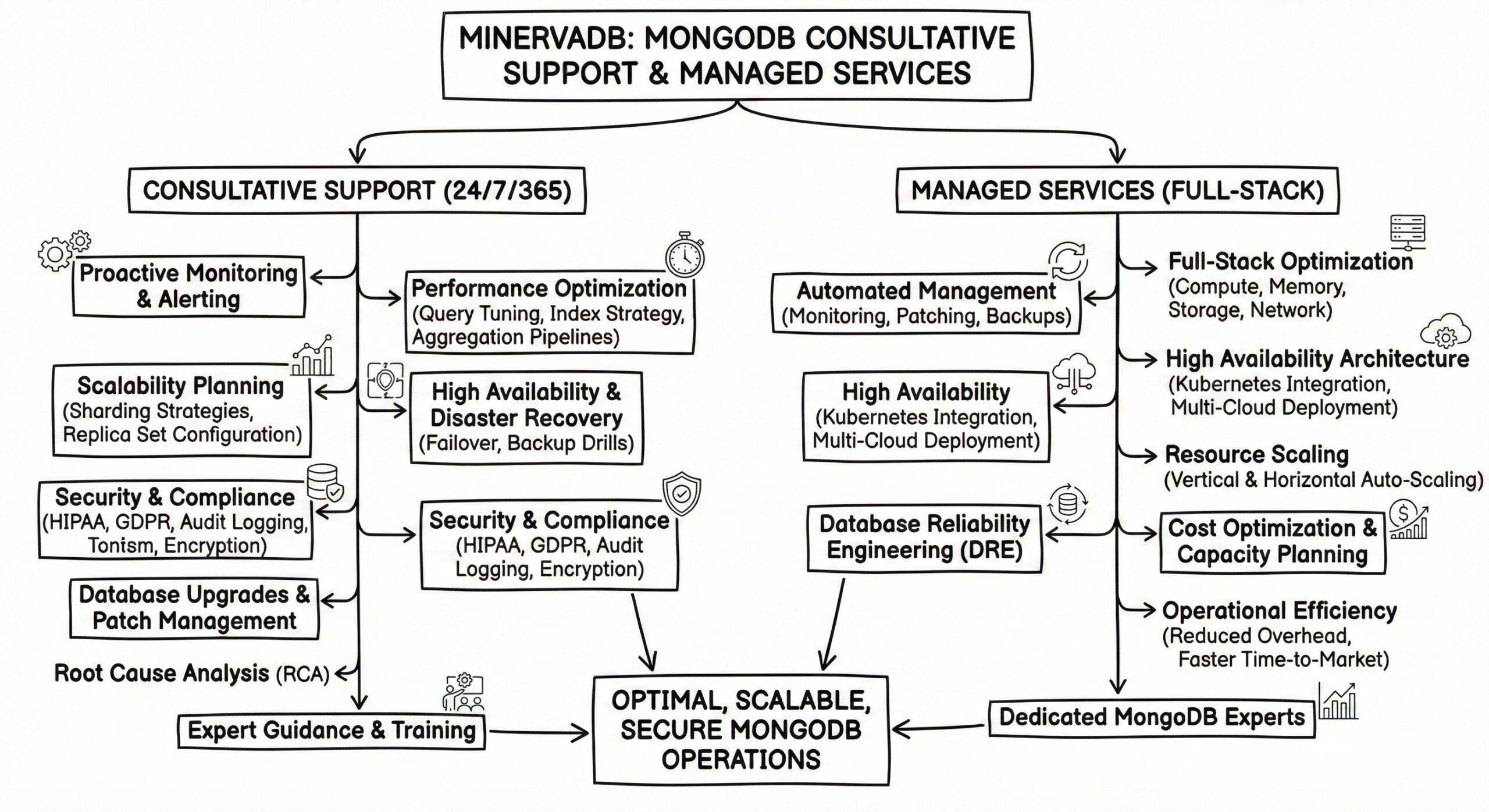 MongoDB Support