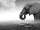 PostgreSQL 18 Consulting