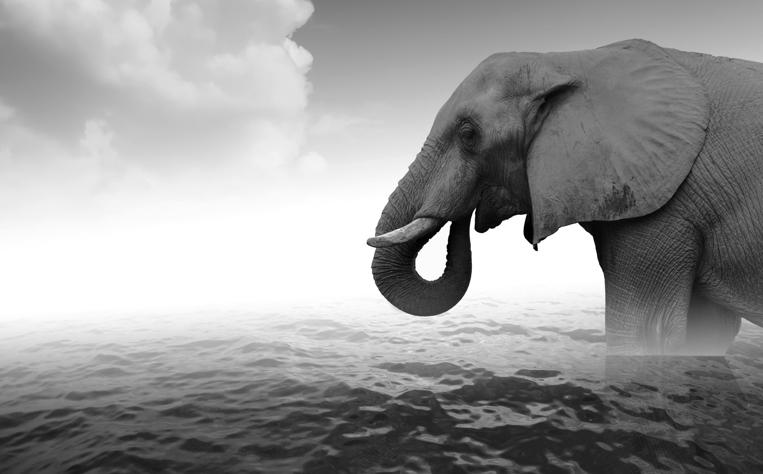 PgBouncer PostgreSQL connection pooling architecture diagram