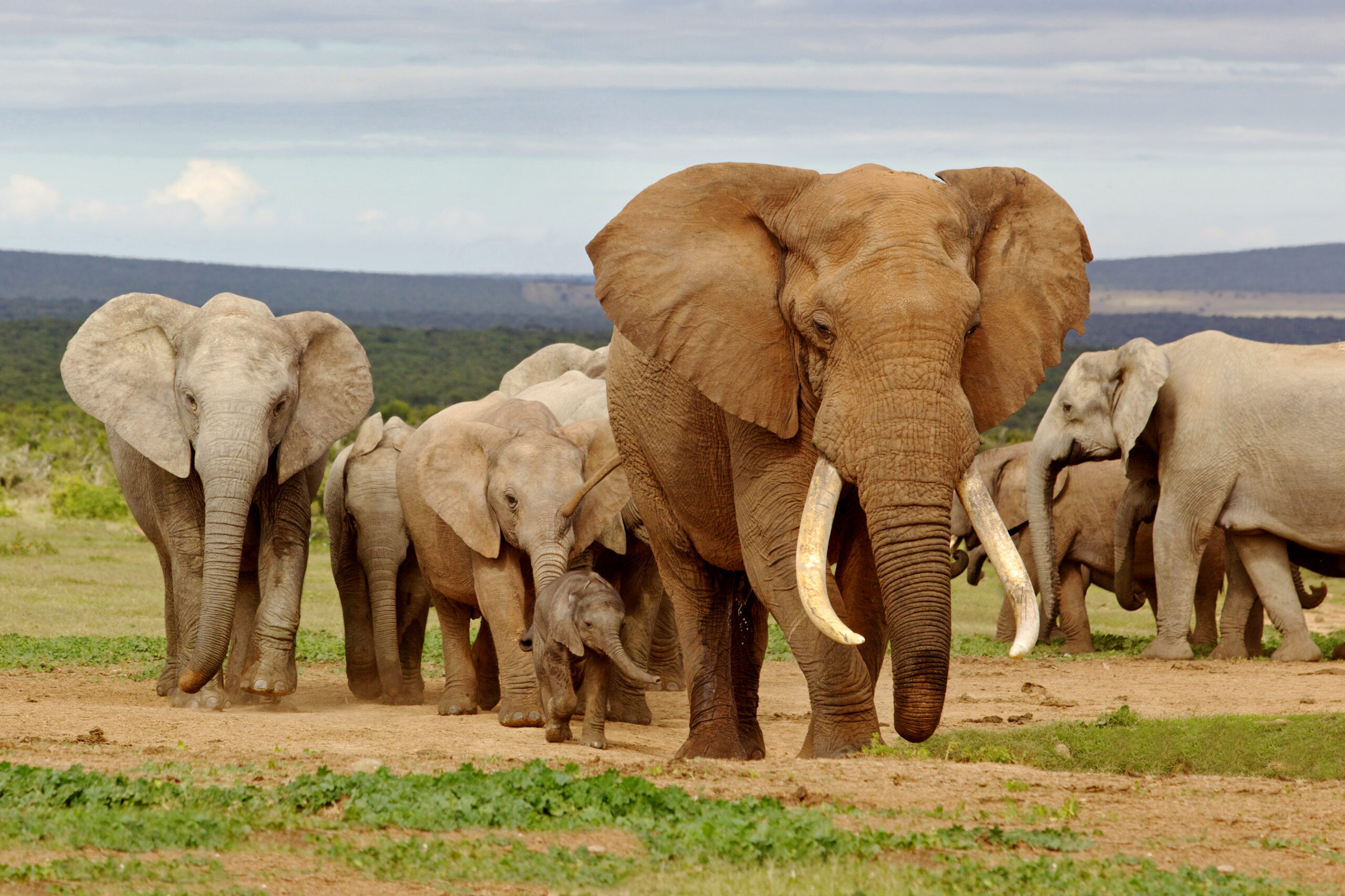 UPDATE LIMIT in PostgreSQL using standard SQL