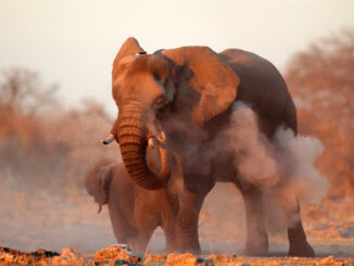 PostgreSQL Slow Query Troubleshooting