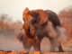PostgreSQL Slow Query Troubleshooting