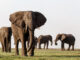 PostgreSQL Rogue Indexes