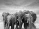 PostgreSQL Wait Events
