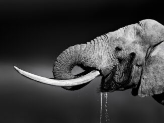PostgreSQL Index Bloat