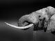 PostgreSQL Index Bloat