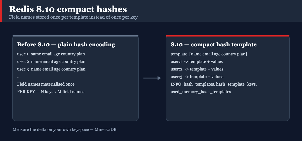 Redis 8.10 compact hashes: plain hash encoding versus a shared hash template