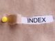 Index Efficiency